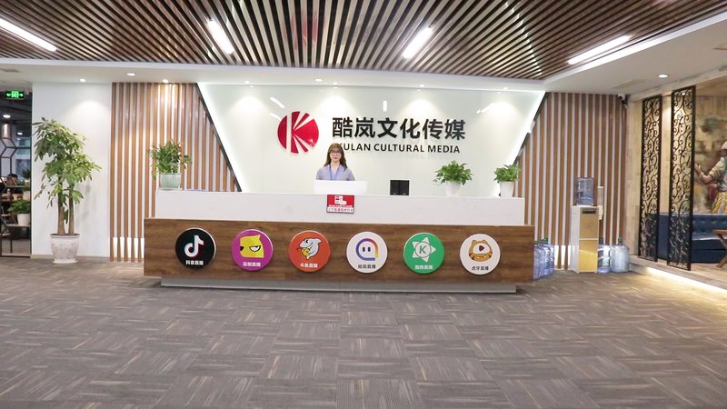 mg动画定制案例哪家好