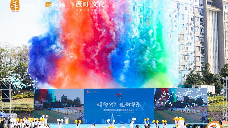 VI设计效果图尺寸参数解析：标准与技巧